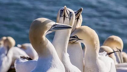 东阳最新公积金提取中介联系微信方法分析(最方便真实的东阳提取公积金的中介是如何操作的方法)