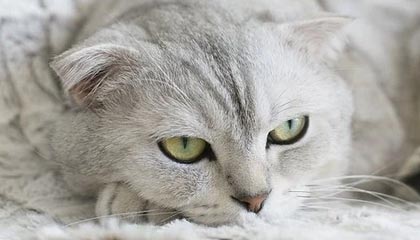 东阳最新公积金卡提取现金方法app方法分析(最方便真实的东阳公积金卡怎样从手机里取出来?方法)