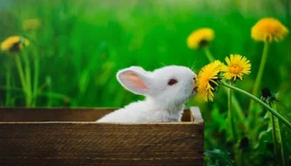 东阳最新公积金卡提取现金方法app方法分析(最方便真实的东阳公积金卡怎样从手机里取出来?方法)